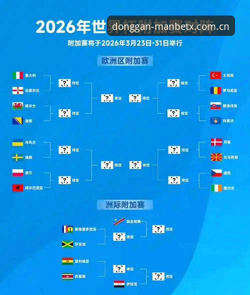 世界杯观赛热vs签证寒潮：全球球迷困境与Manbetx体育平台观赛体验全面对比